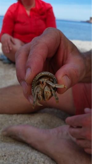 Paddles_Pedagogy4 Paddles_Pedagogy4