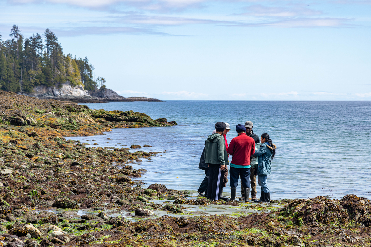 Exploring the intertidal zone at Laskeek Bay.