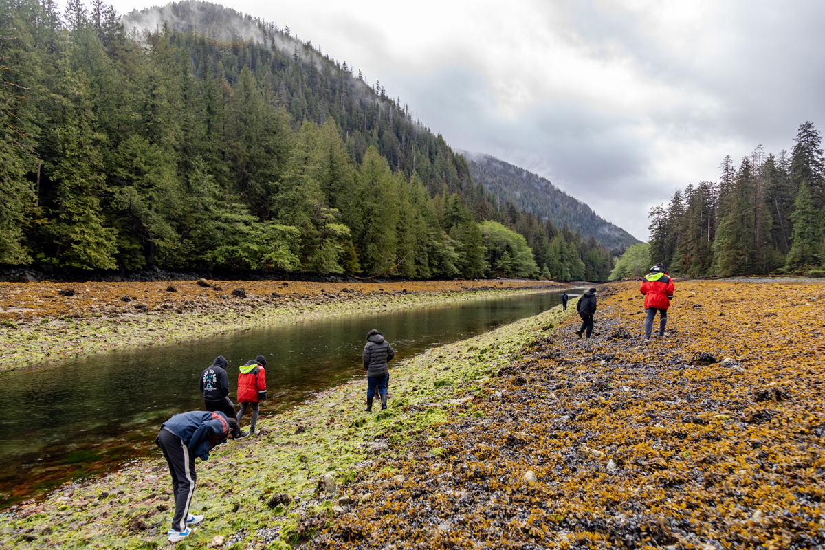 Exploring the intertidal zone at Louise Narrows.