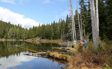 coast-mountain-ecology