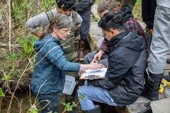 An instructor points out findings to a group of students.