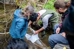 A group of students sift through the creek bed to measure the enviroment.