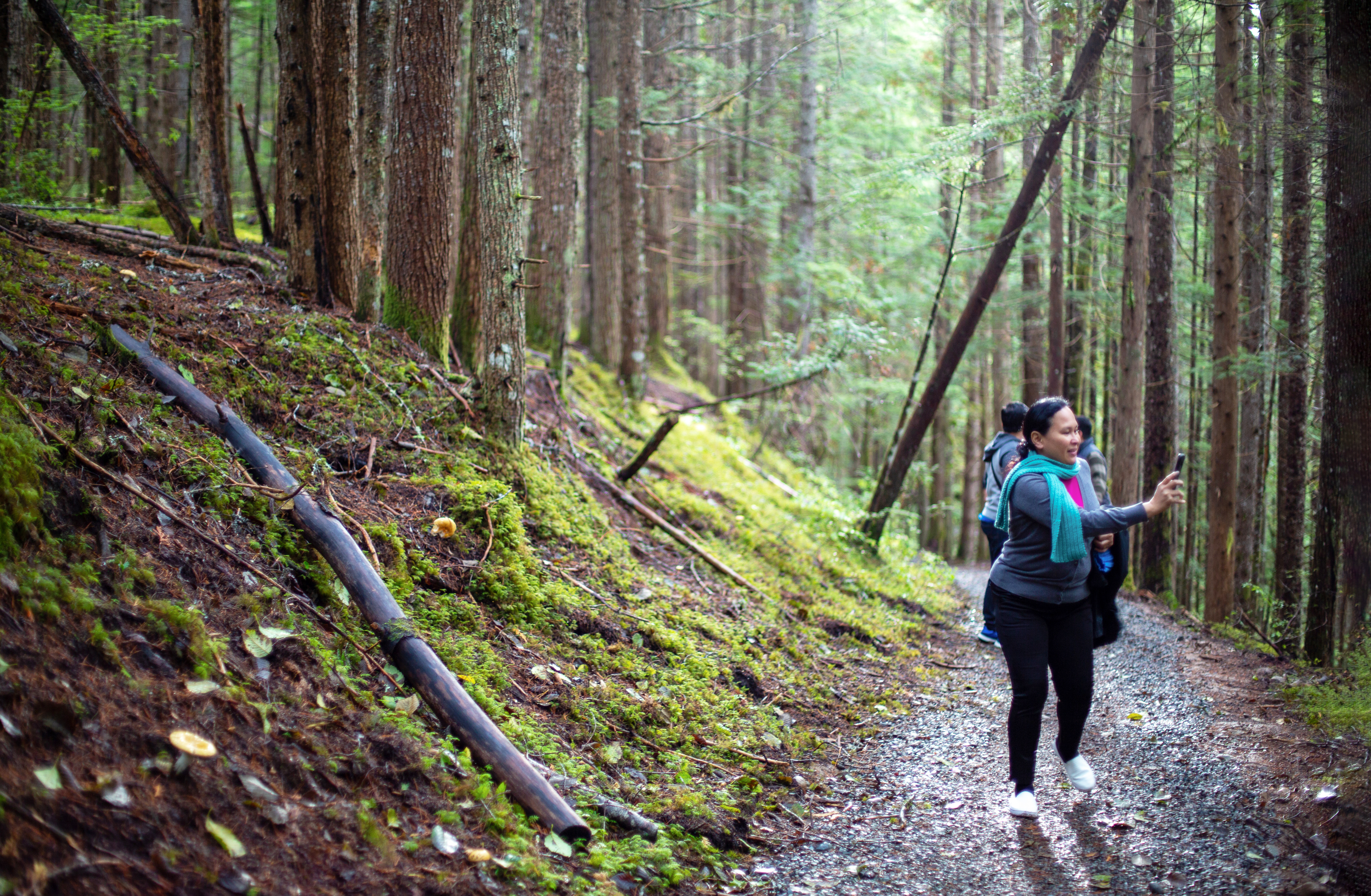 Hiking on Terrace Mountain